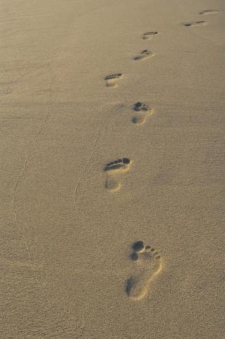 Seminar